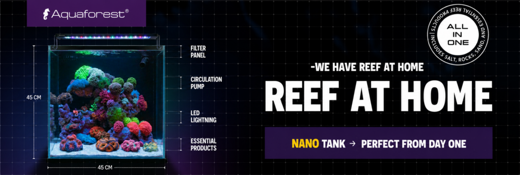 AquaForest - Nano Tank