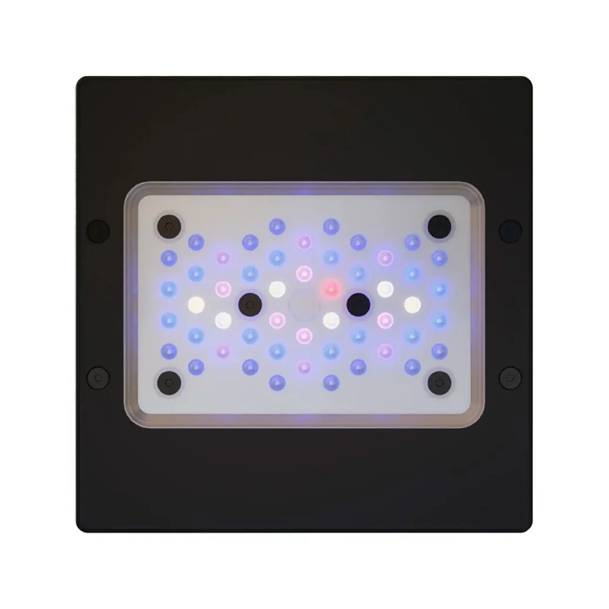 EcoTech Marine - Radion - XR15 G6 Blue