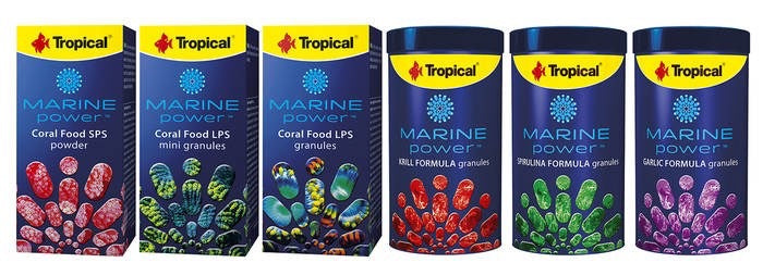 Marine Power Probiotic Soft Formula