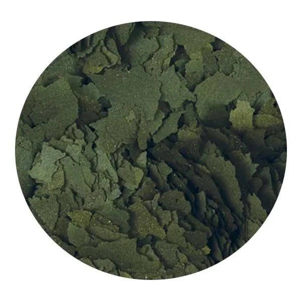Super Spirulina Forte Flakes