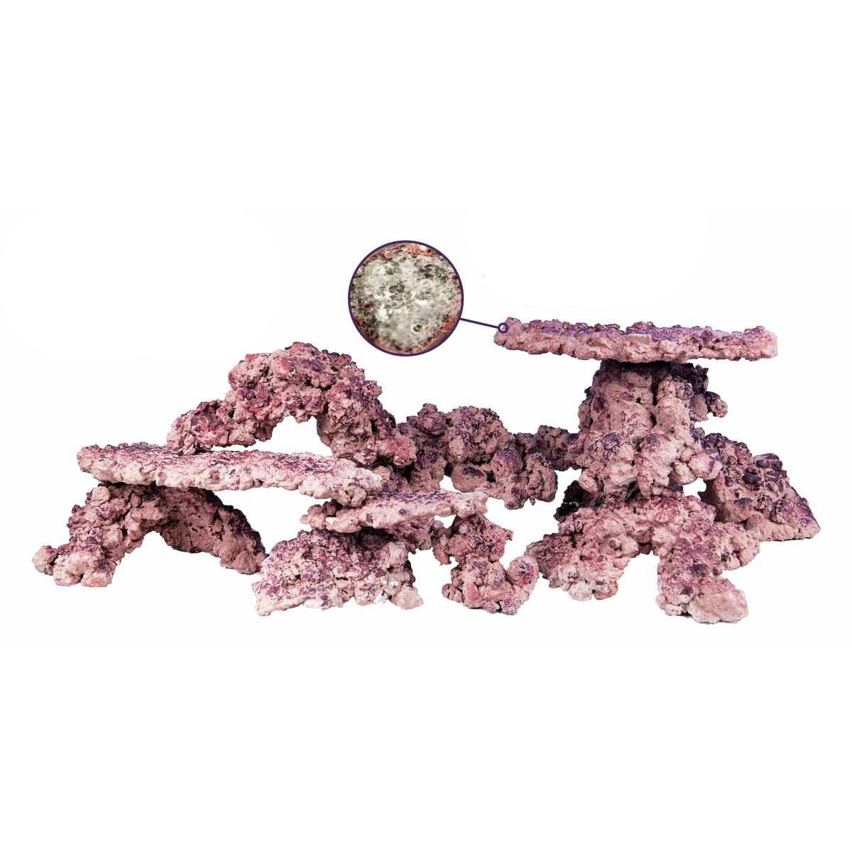 Aquaforest-AF Rock Arch 18kg
