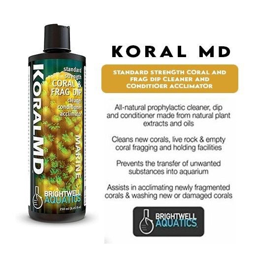 Brightwell – Koral MD Standard