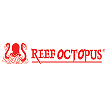 REEF OCTOPUS