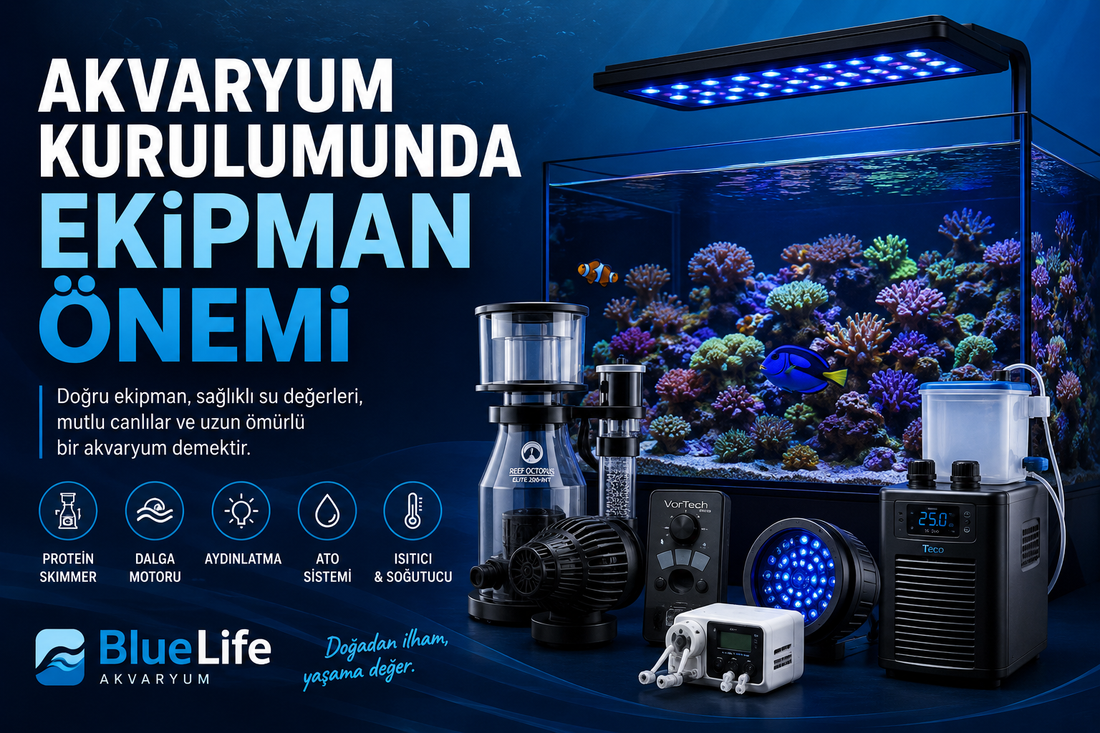 Akvaryum Kurulumunda Ekipmanın Önemi