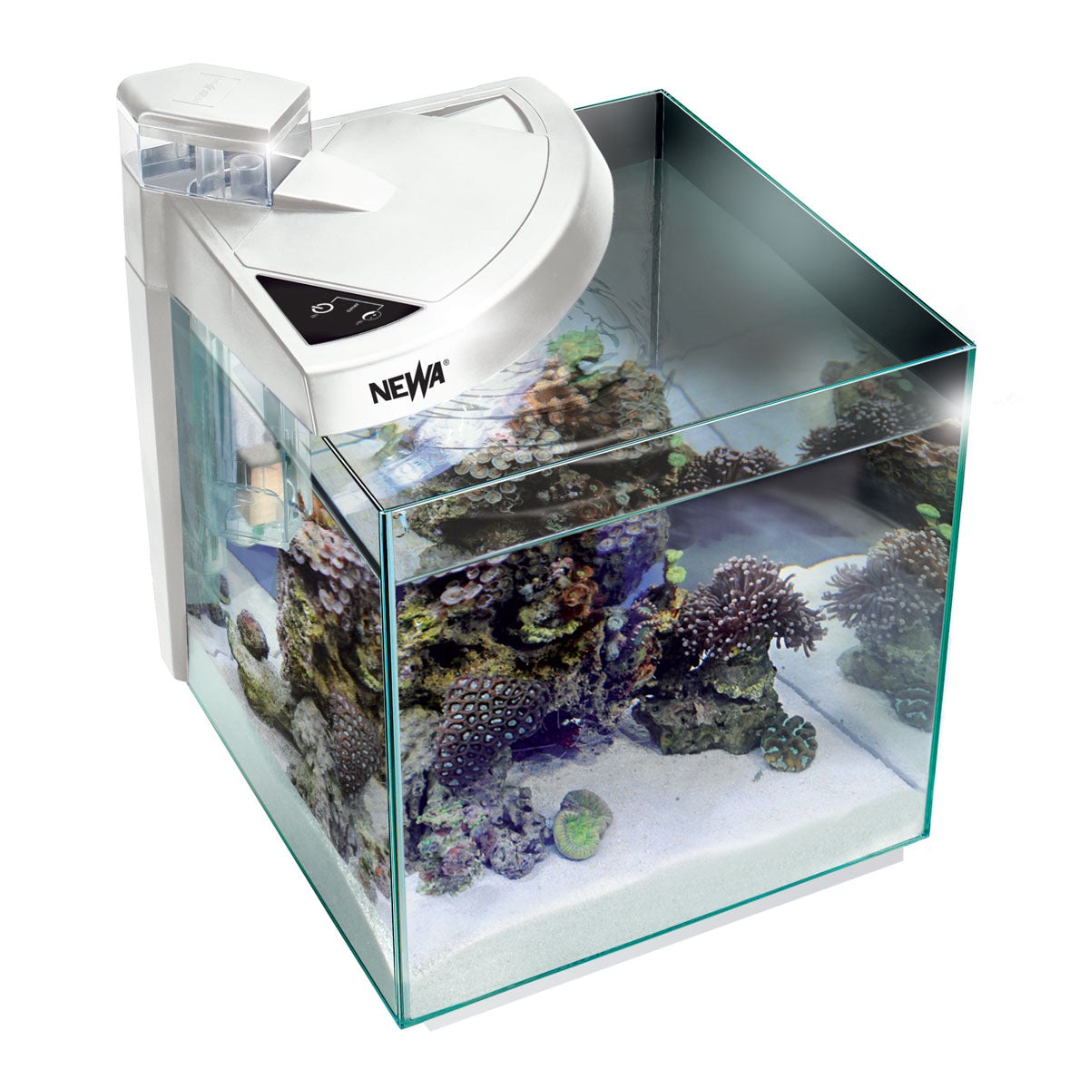 NEWA - More 30 Reef