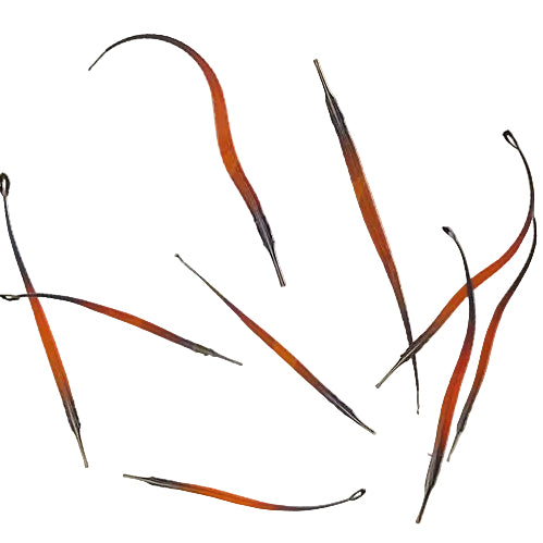Janss' Pipefish