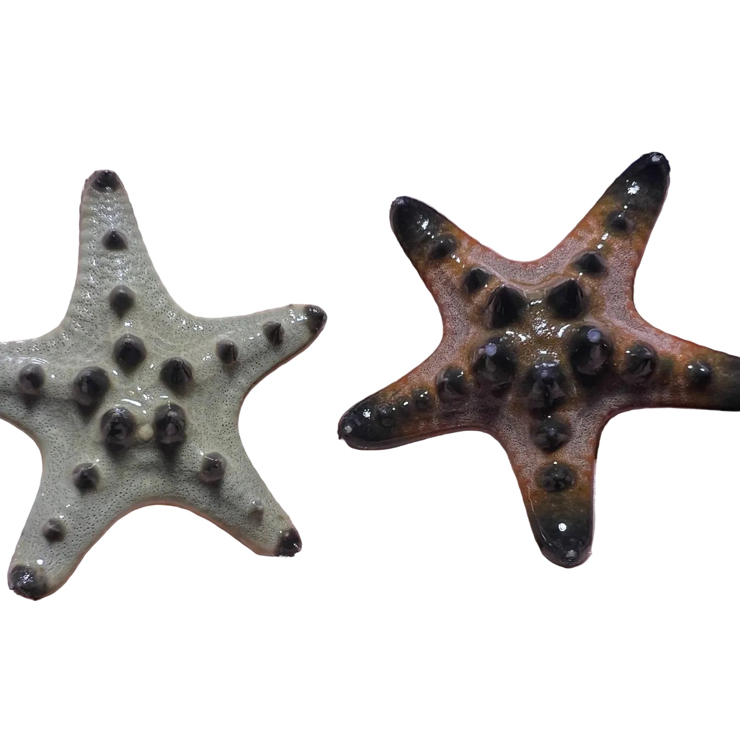 Chocolate Star