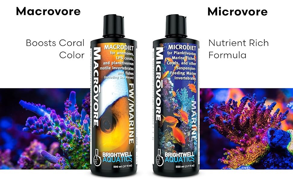 Brightwell – Microvore