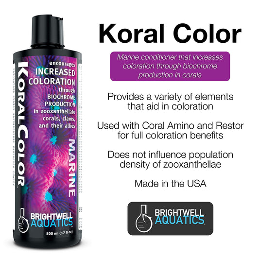 Brightwell – Koral Color