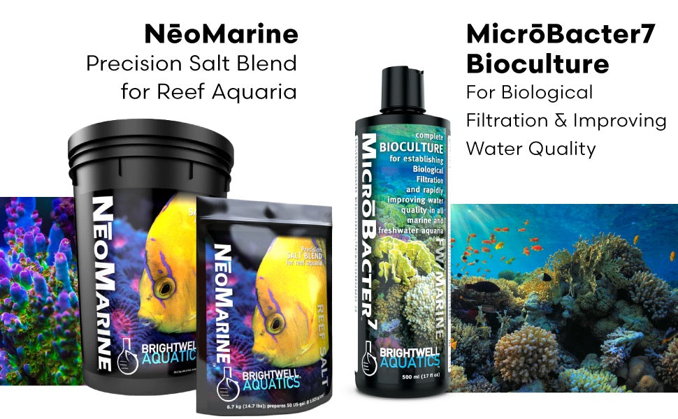 Brightwell – Neo Marine Reef Salt Box