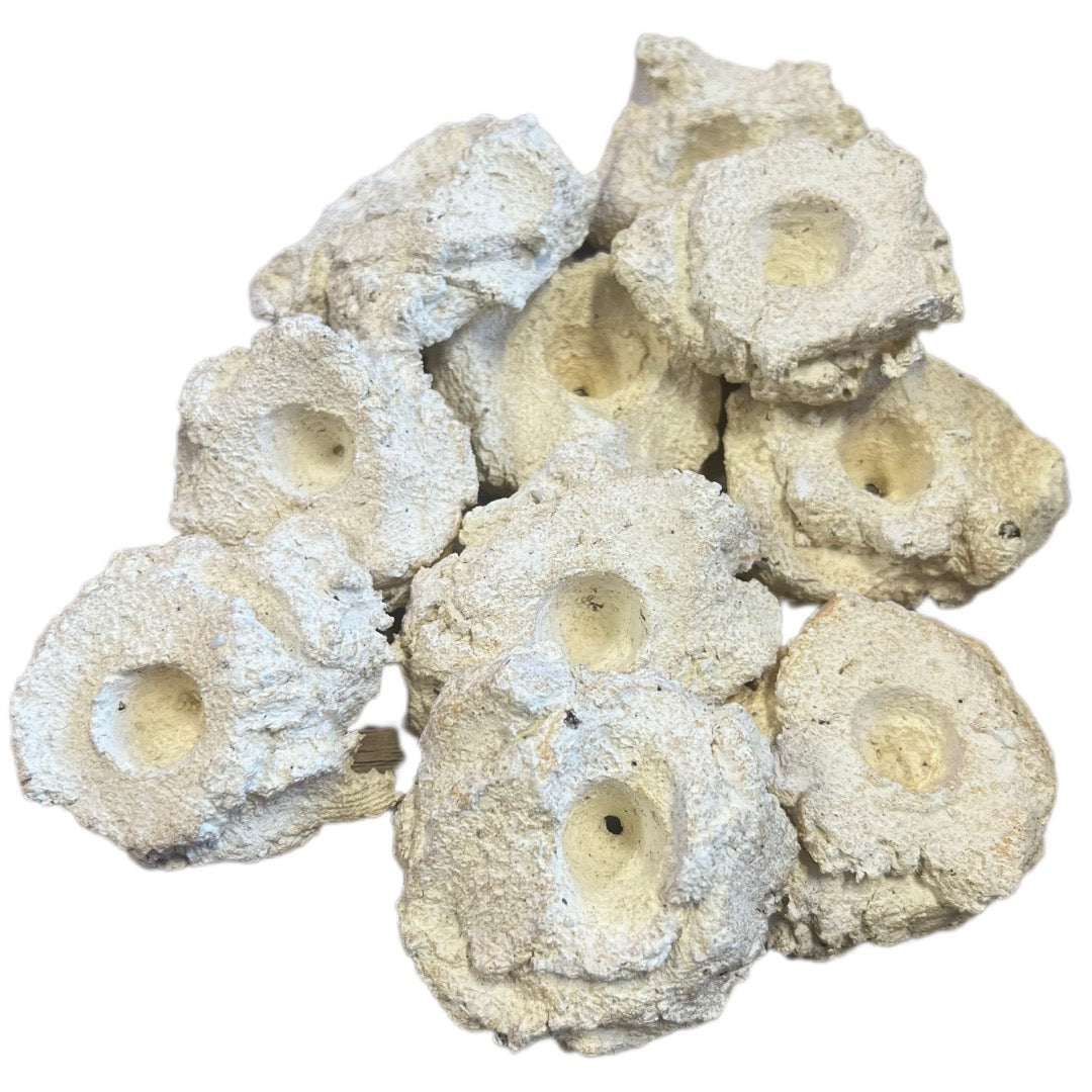 Aquaroche Frag Rocks – 10 Adet