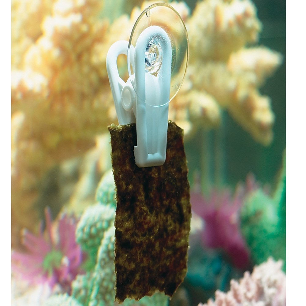 DVH Seaweed Green- Red