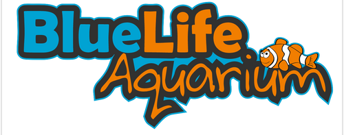Bluelife Akvaryum