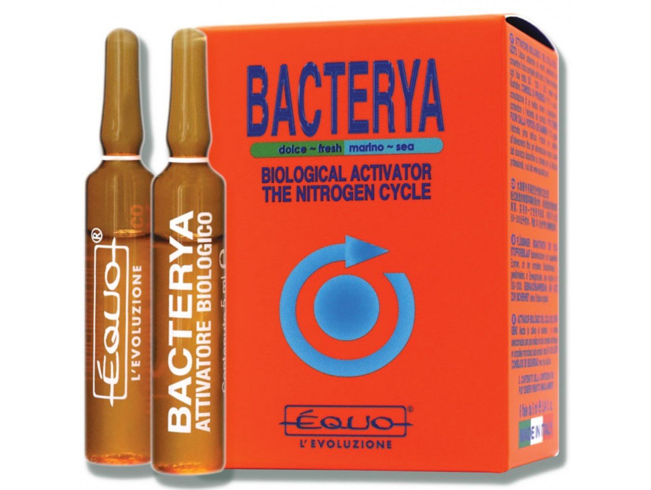 Bacterya -6