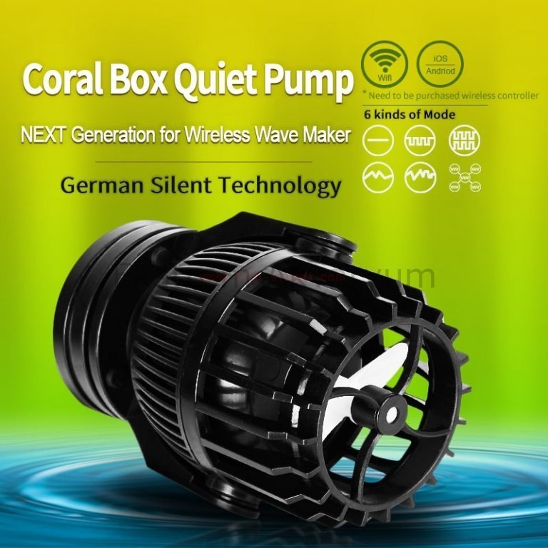 Coral Box - QP 16